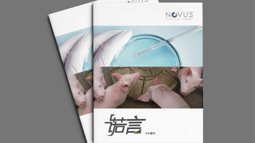 农业画册设计指南：如何选择一家懂农业的设计公司