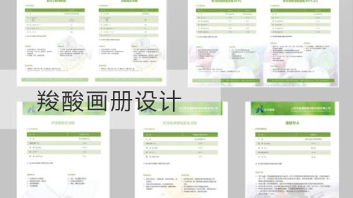羧酸画册设计