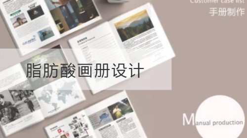 脂肪酸画册设计