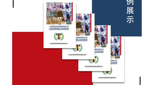 上海宣传画册设计指南：从理念到落地的深度思考 | 专业解析