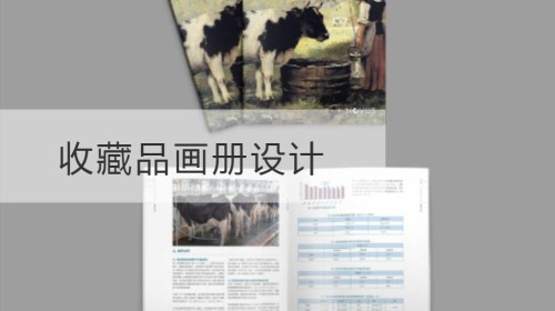 收藏品画册设计