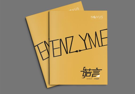 诺伟司公司文化内刊画册设计案例