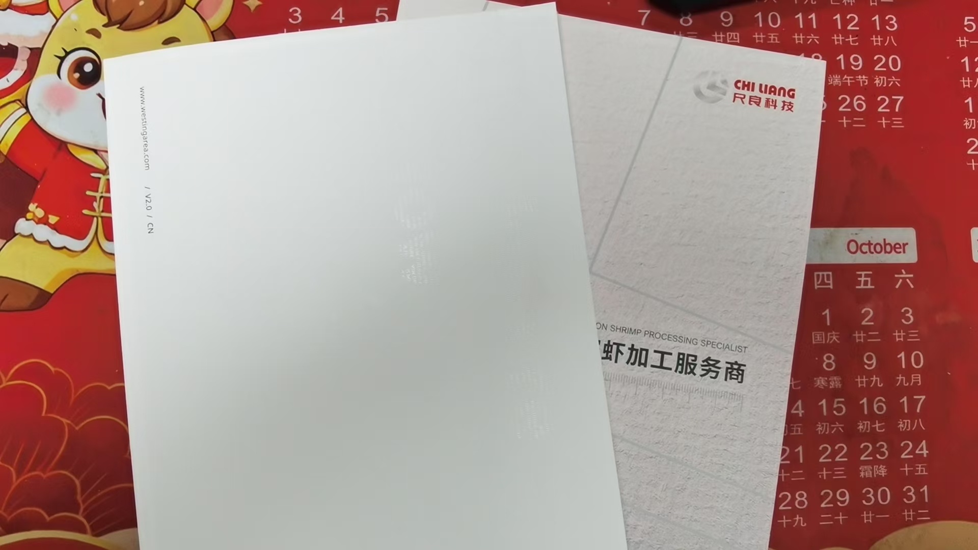 成品实拍:烫珠光白工艺效果